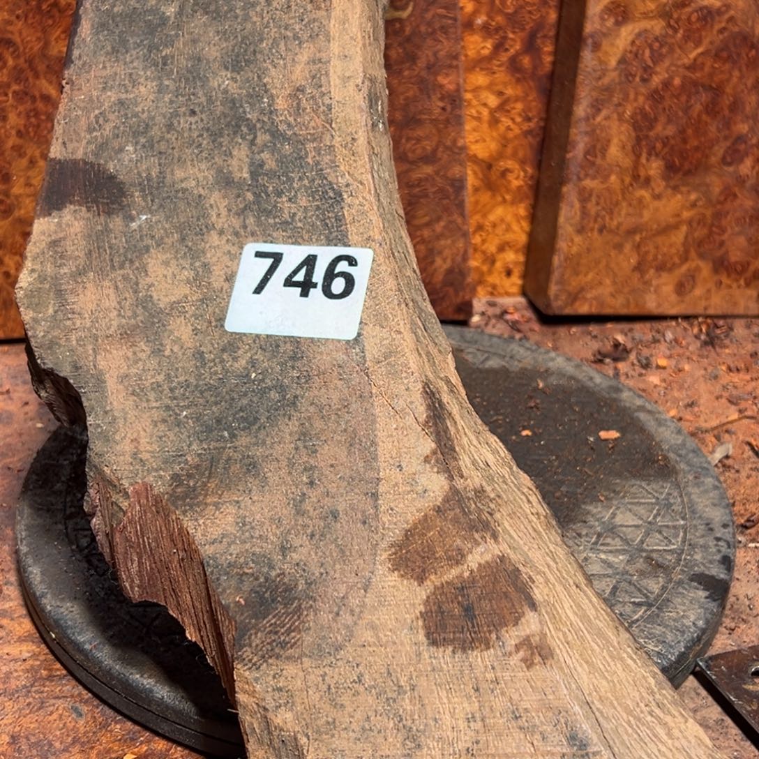 反***动大果紫檀（缅甸花梨）