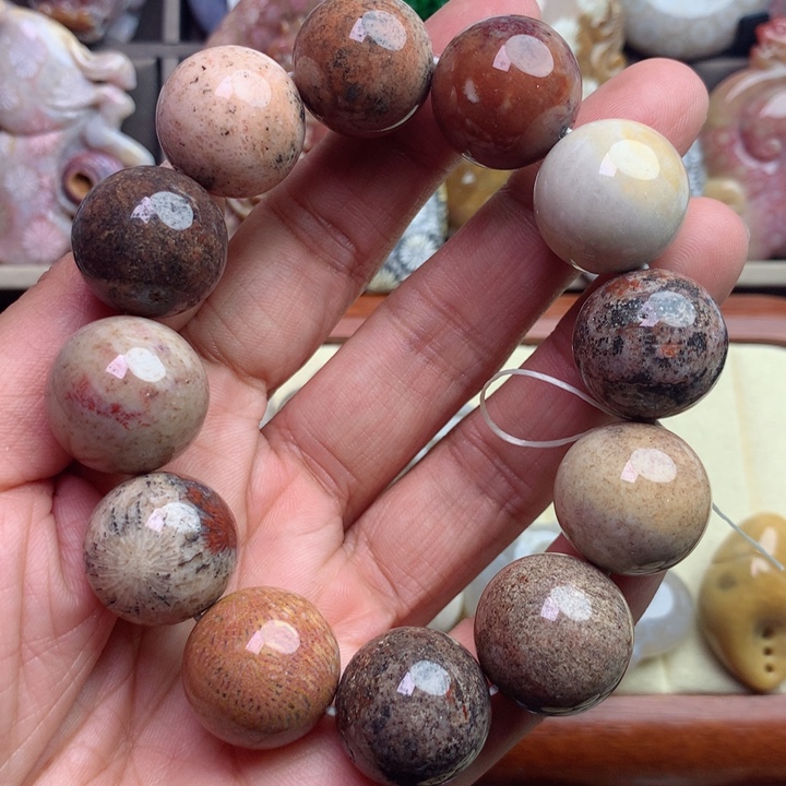 硅化珊瑚（珊瑚玉）颈饰未镶嵌