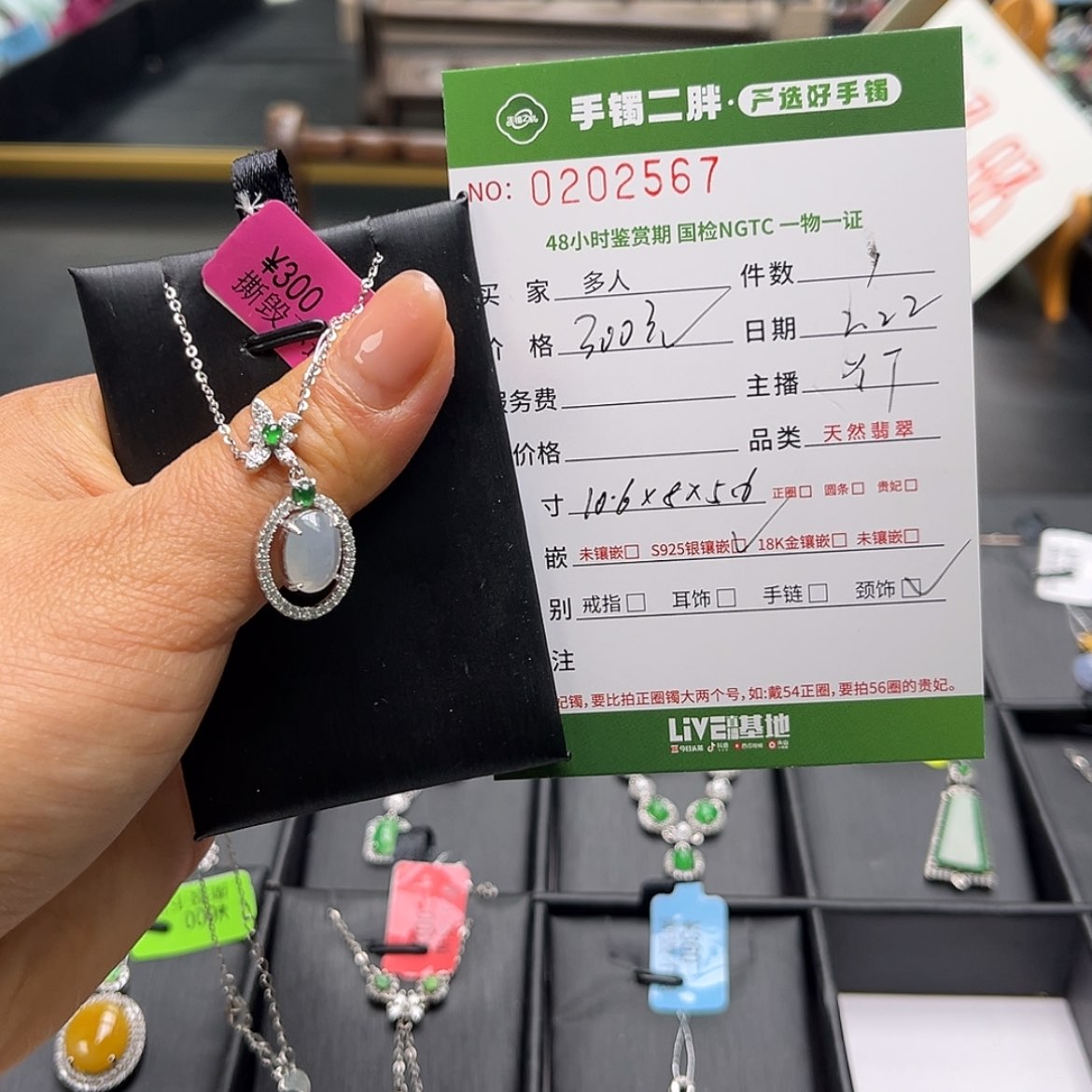 【闪购商品】翡翠颈饰银S925镶嵌多人