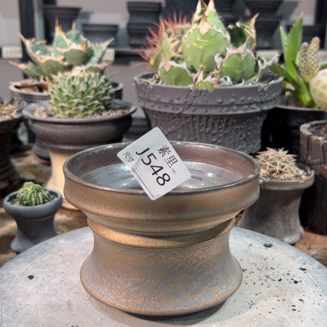 景德镇手工素里内口14高10.5