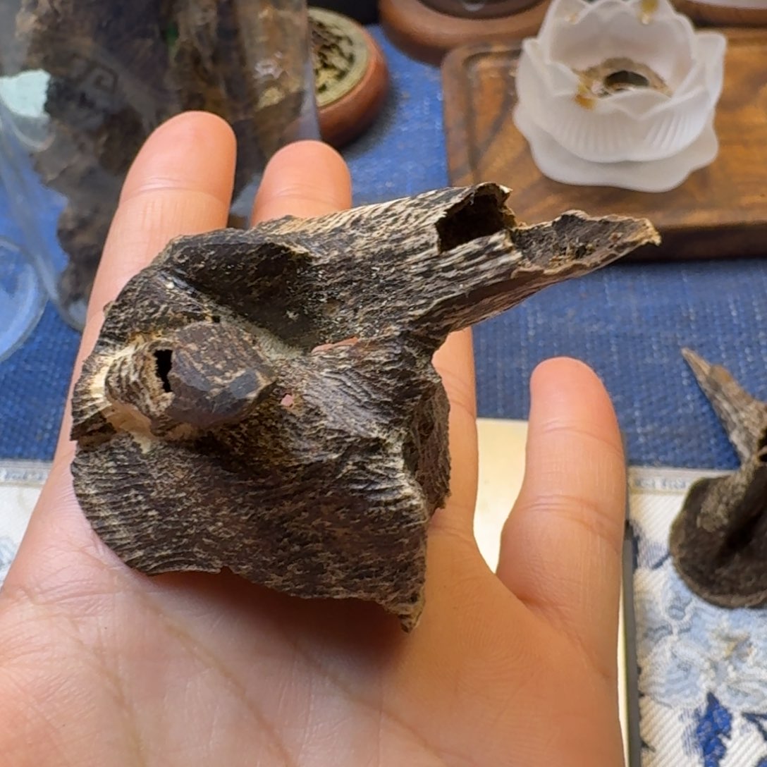 树脂制品香港老包壳一块4.88