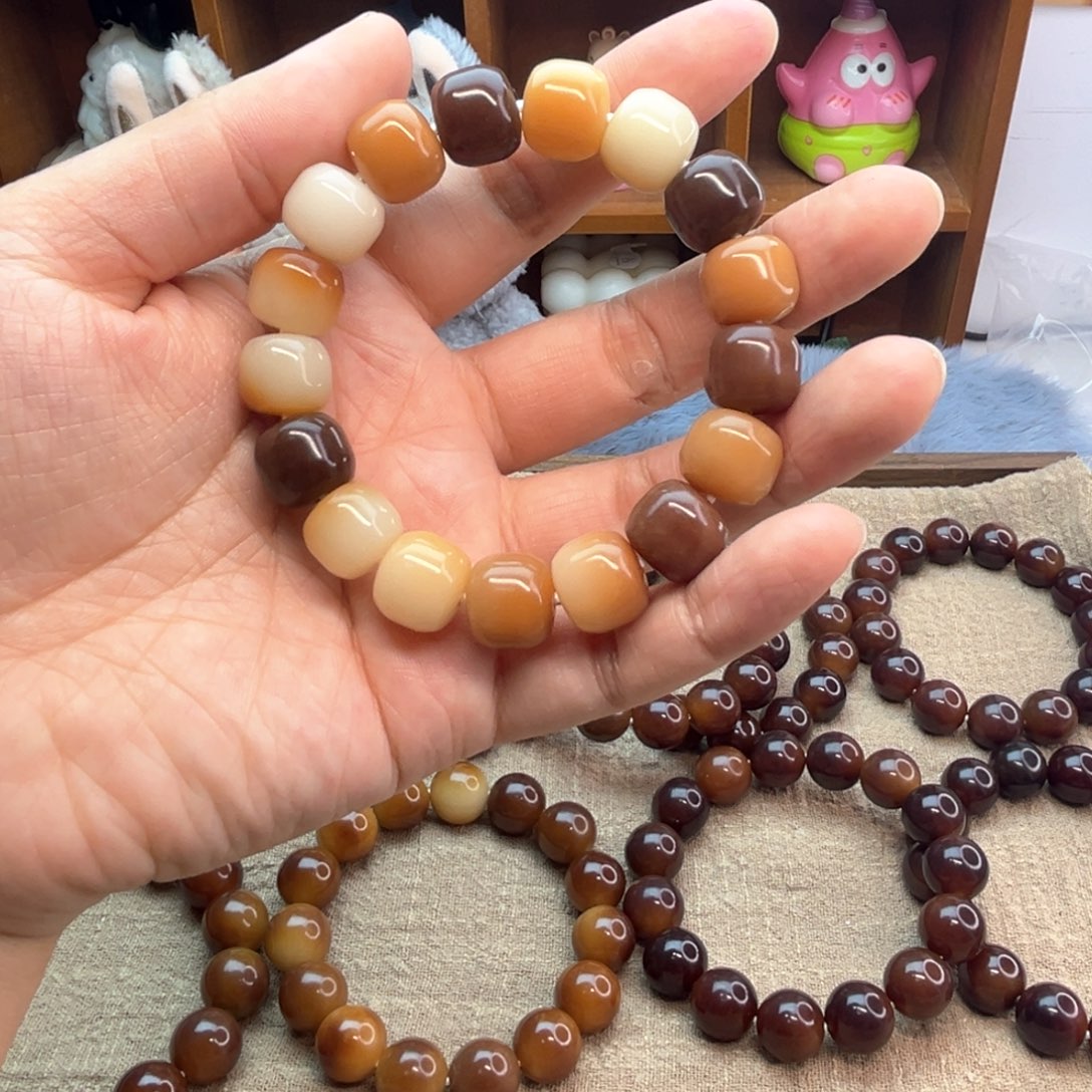 菩提根/象牙果手串