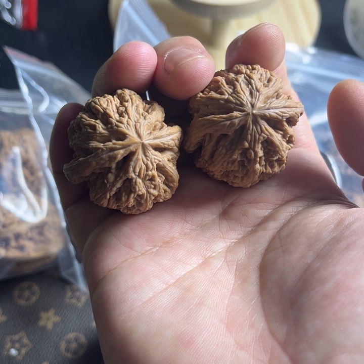 桃核吊坠全品大粗筋