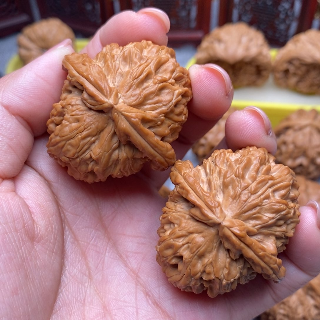 文玩核桃把件毕业大白狮子43全