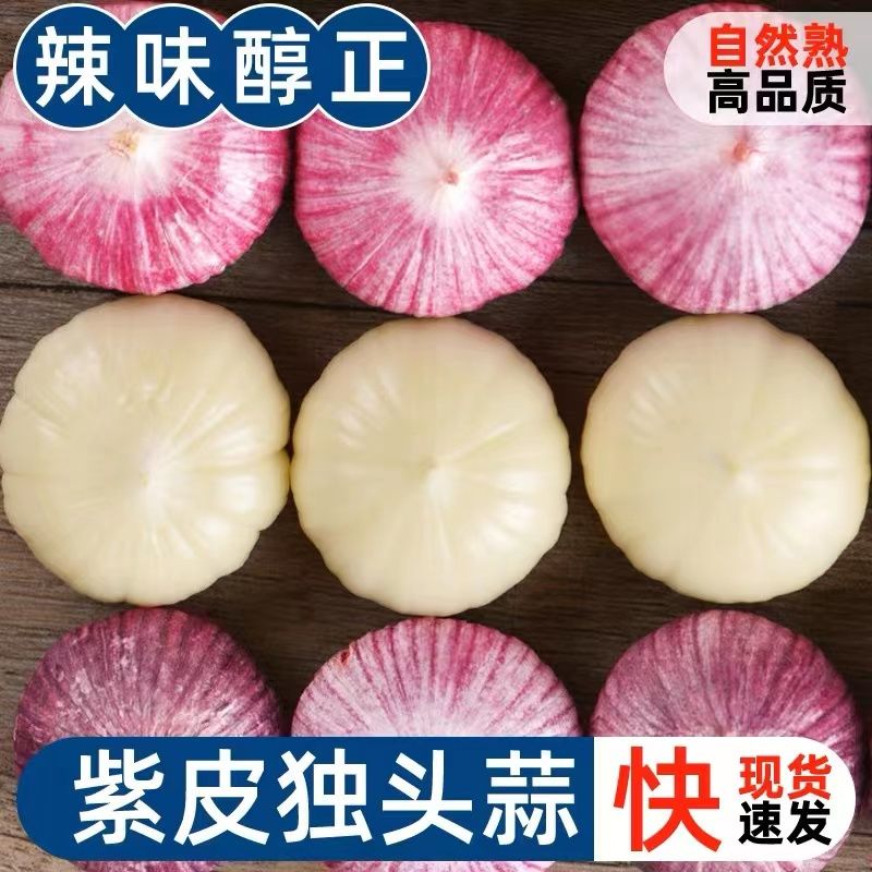 【新店半价】正宗紫皮独头蒜紫皮大蒜头新晒干蒜2/3/5斤包邮