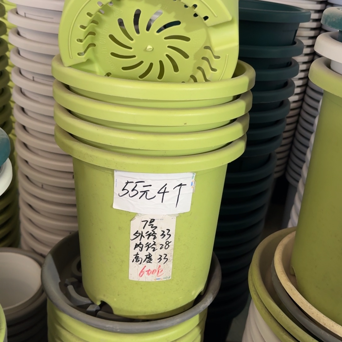 四季7#口径33无拖果绿3个
