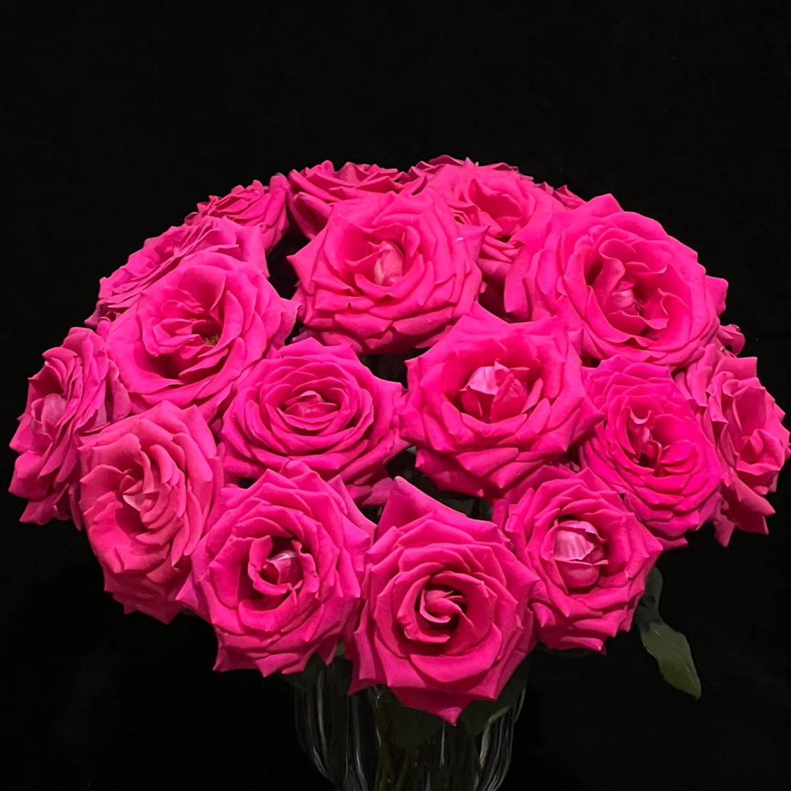 【弗洛伊德】全场鲜花任意满两单送草配草三单送玻璃花瓶拒收不售后