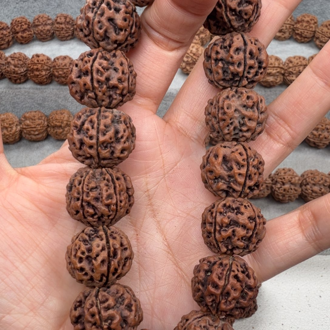 手串金刚菩提蜂窝双龙新人体验