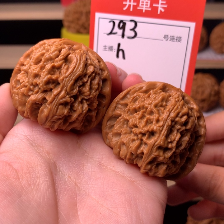 核桃41+南疆石293号