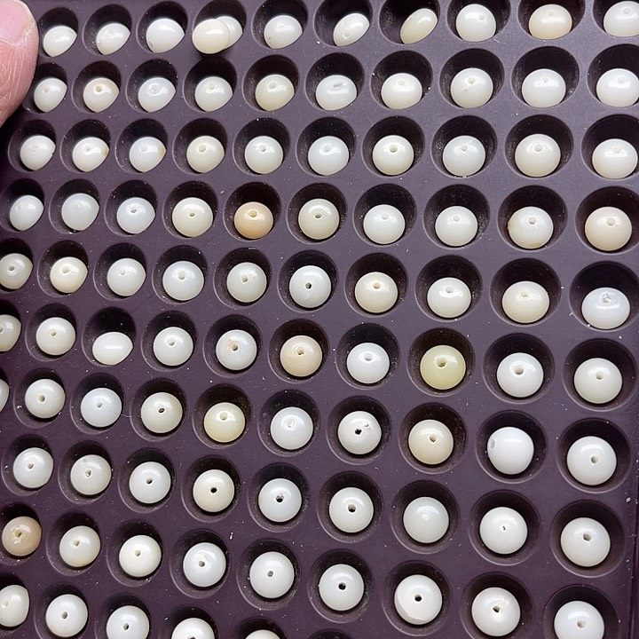 白玉菩提吊坠瑕疵9-6算盘200颗