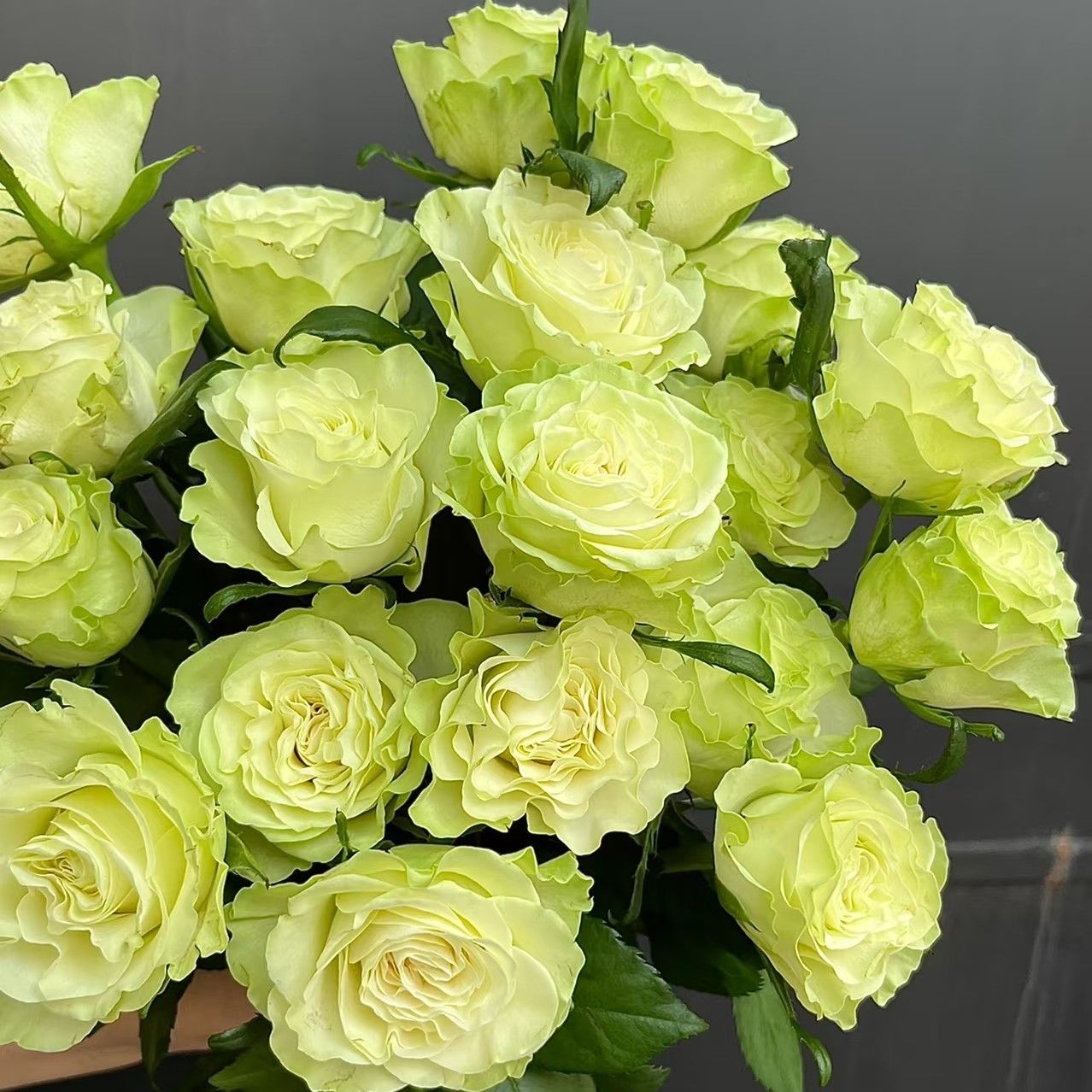 小乔单头玫瑰18只+2枝防损