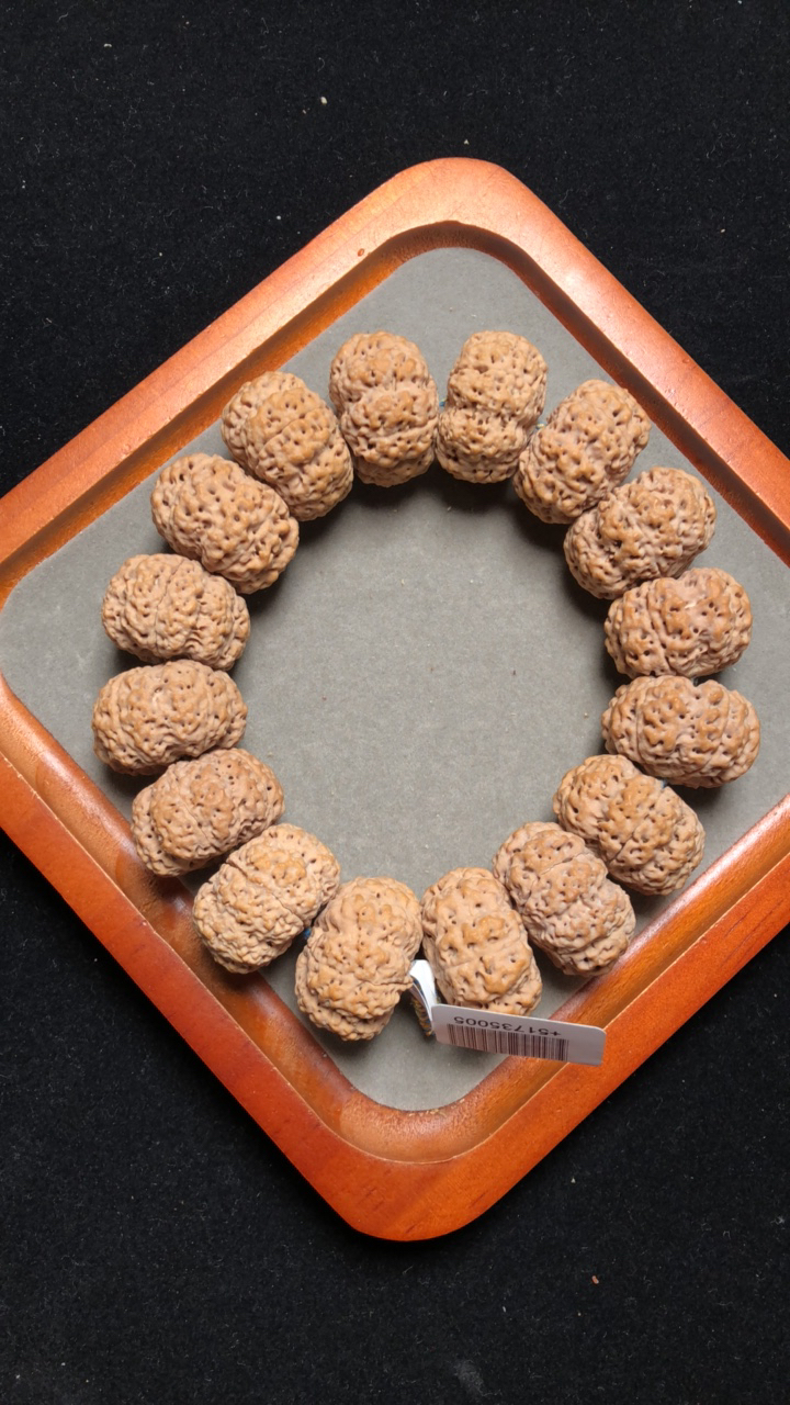 金刚菩提金刚菩提