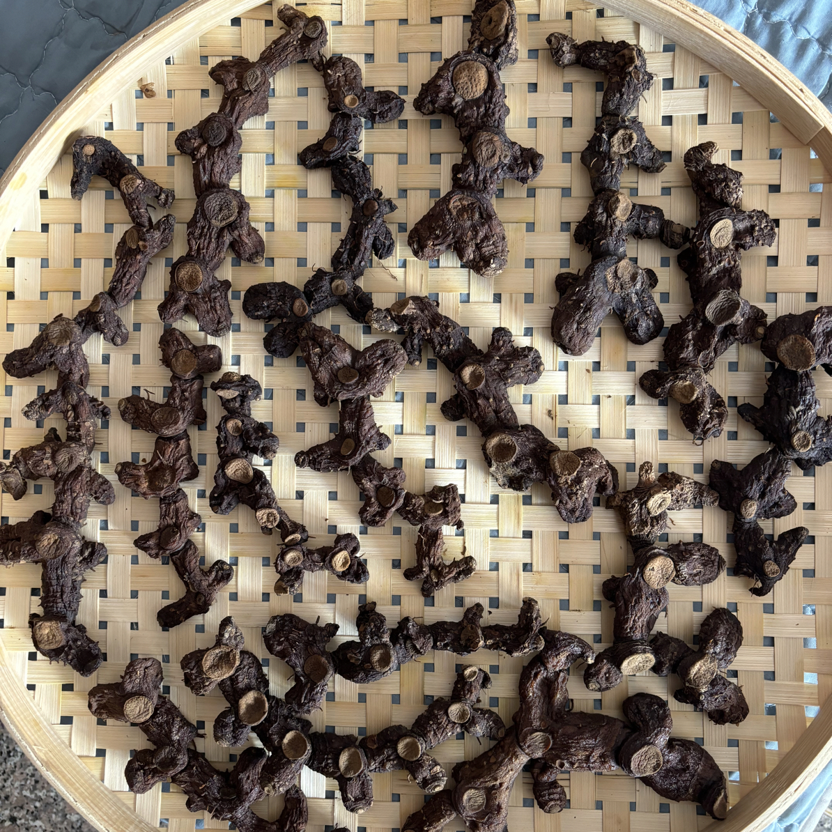 赣北深山大号野姜农产品