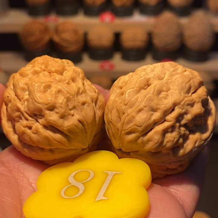 木质类粗筋招财蛙37尺寸