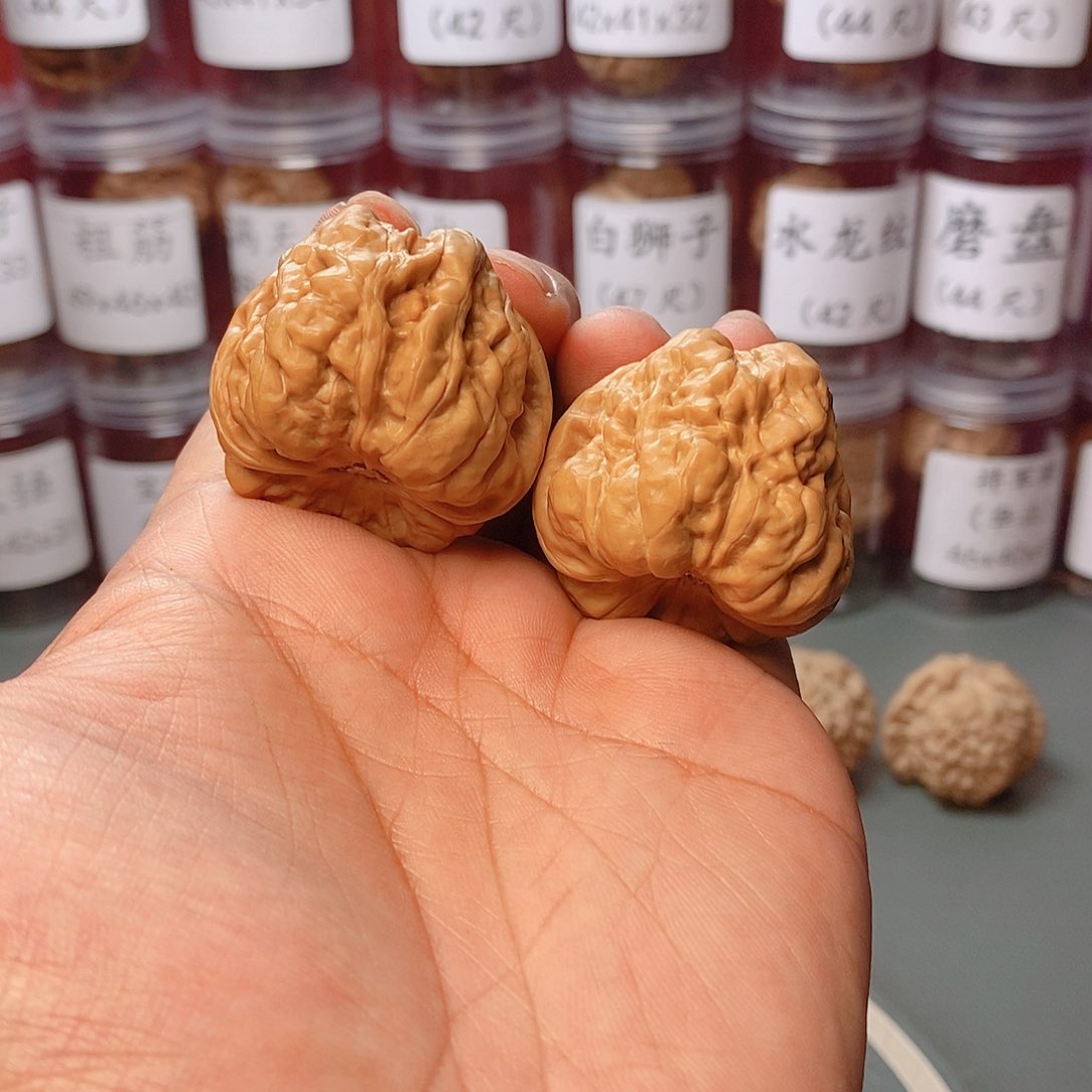 40尺寸蛤蟆头文玩核桃