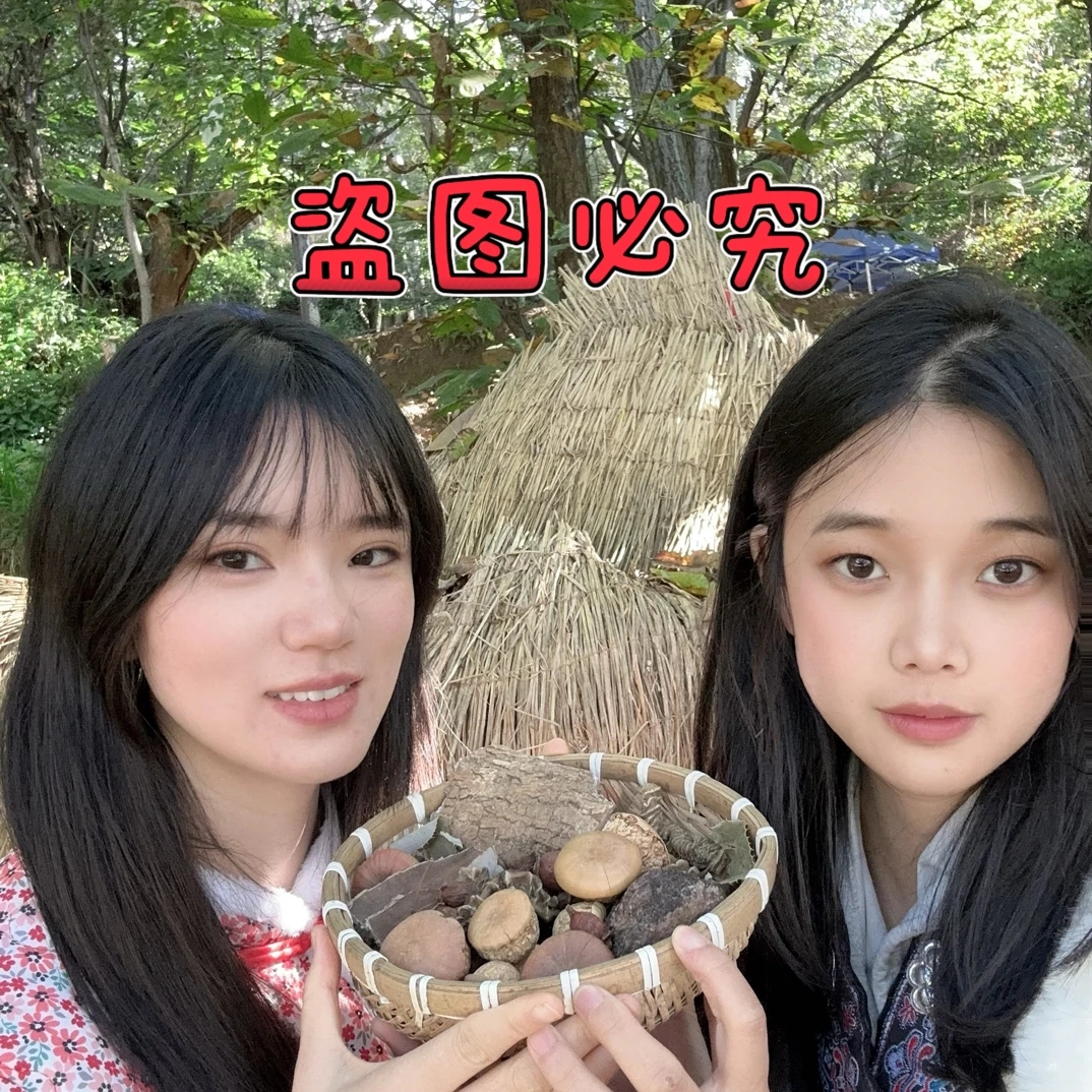 阿妹家的六味泡 高山高海拔 精选原料