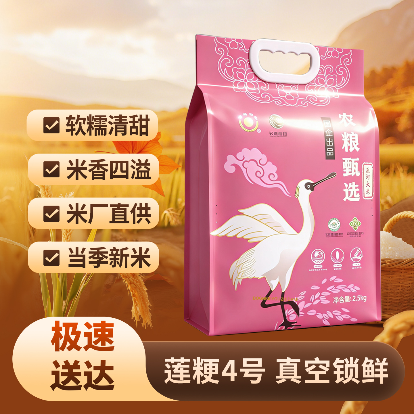 庄河（国企出品）盐碱地大米精选连粳4号口感软糯