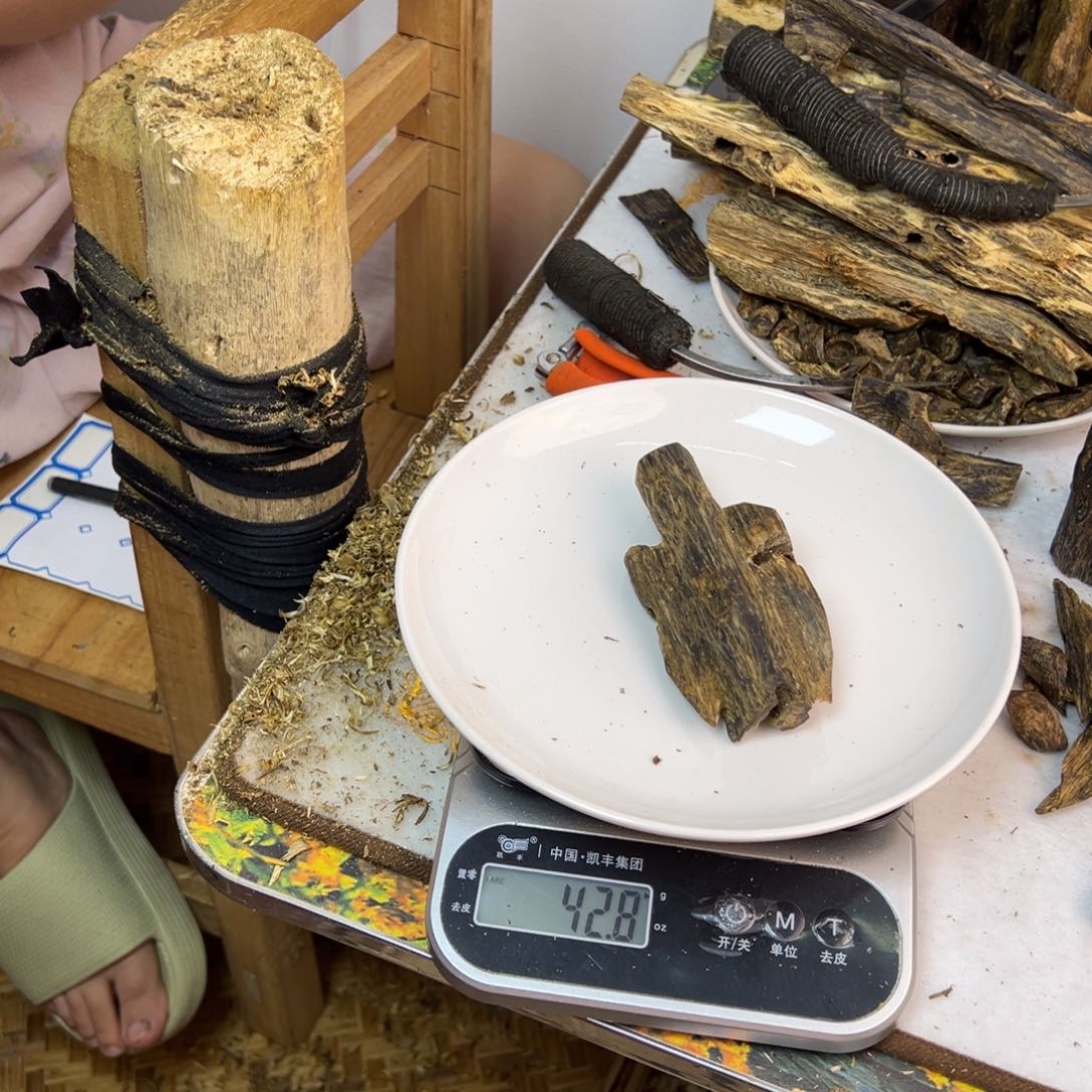 线香奇楠虫漏香42克