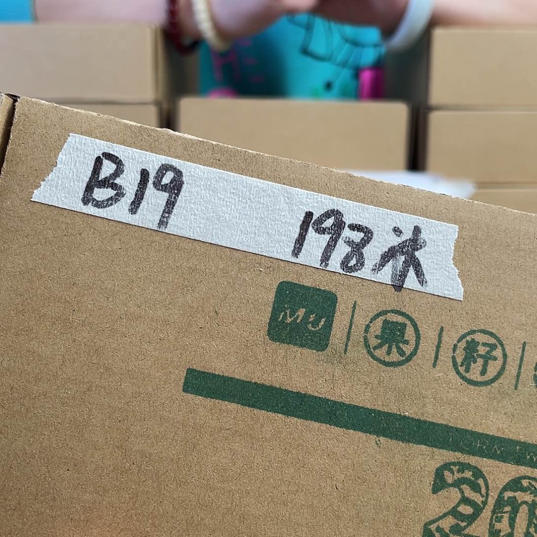 桃核把件开****烟B19文玩核桃