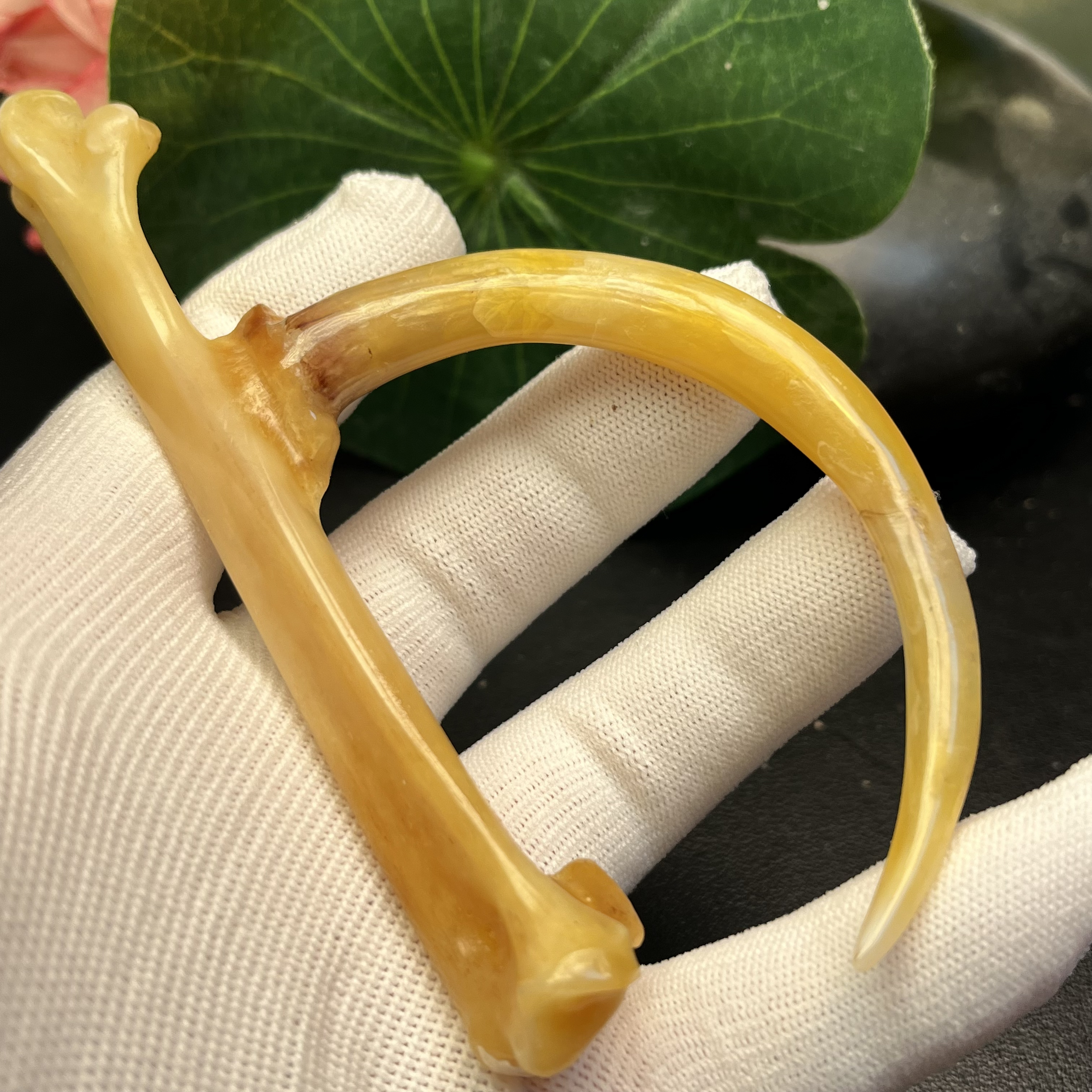 沉醉骨艺鸡爪骨蜜蜡黄大弯钩单只12.5公分