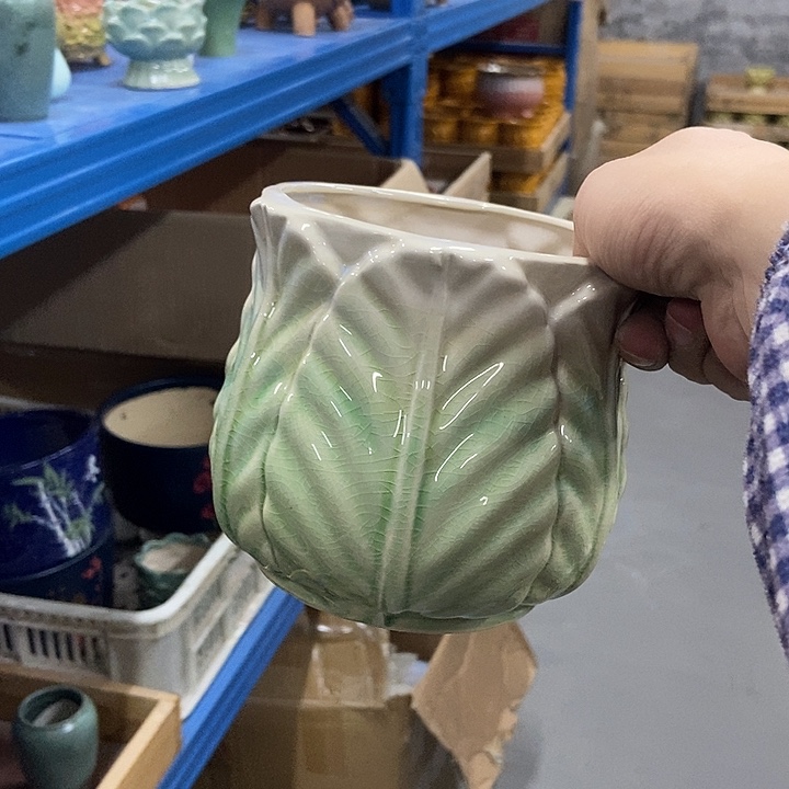 花盆单场满9.9发货12×12.5