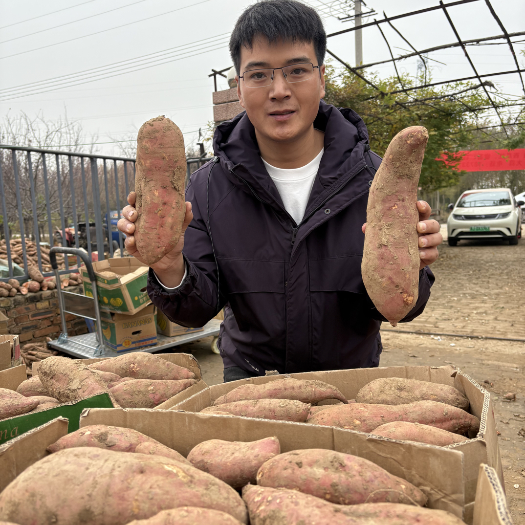 【川哥自营】2025年红瑶蜜薯榴莲蜜薯糖心红薯地瓜新鲜番薯农家
