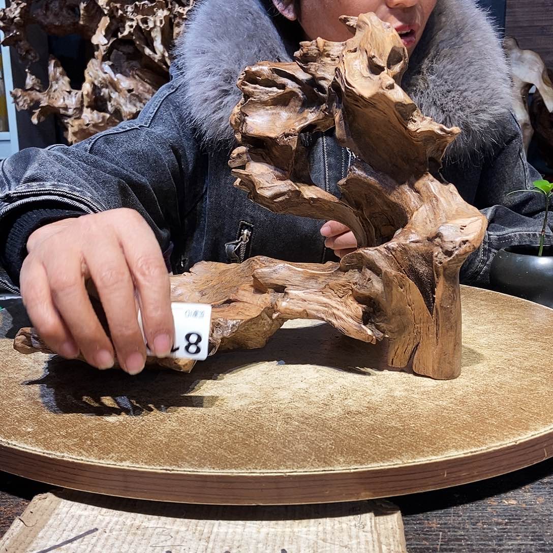 阿***虎818。株木随行根艺