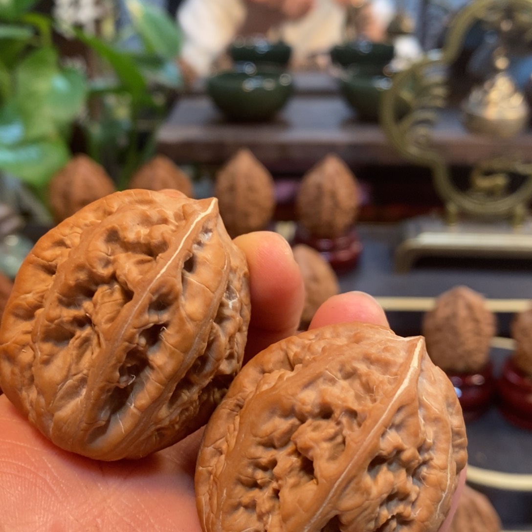 文玩核桃吊坠大粗筋