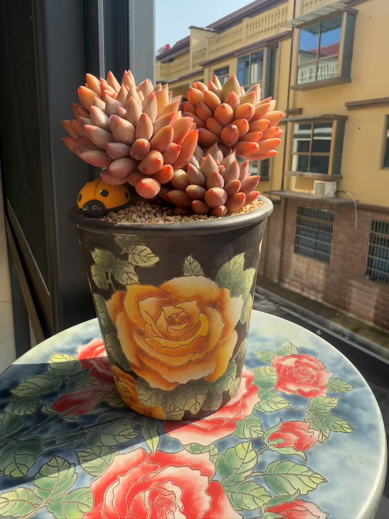 巷往可乐杯多肉花盆手绘景德镇