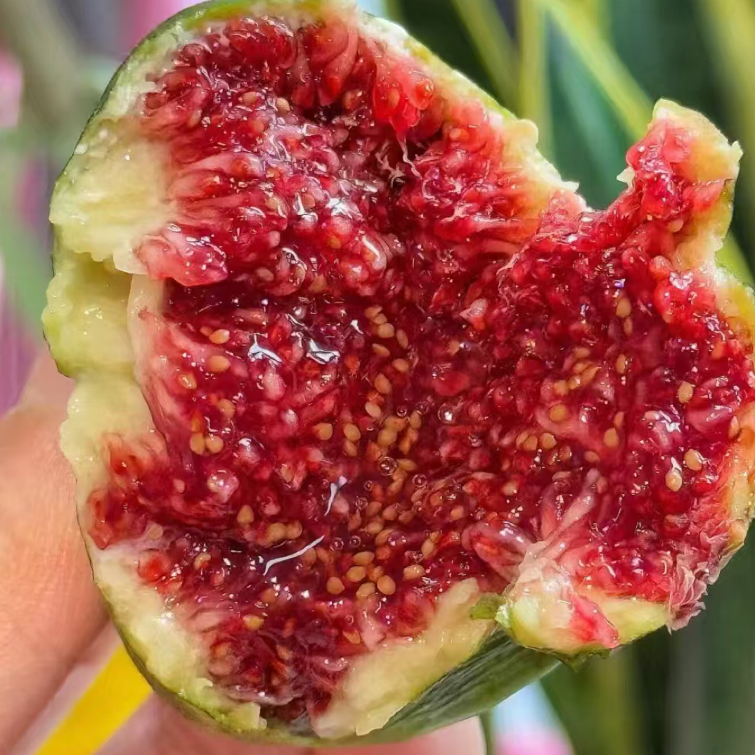 威海青皮无花果1斤