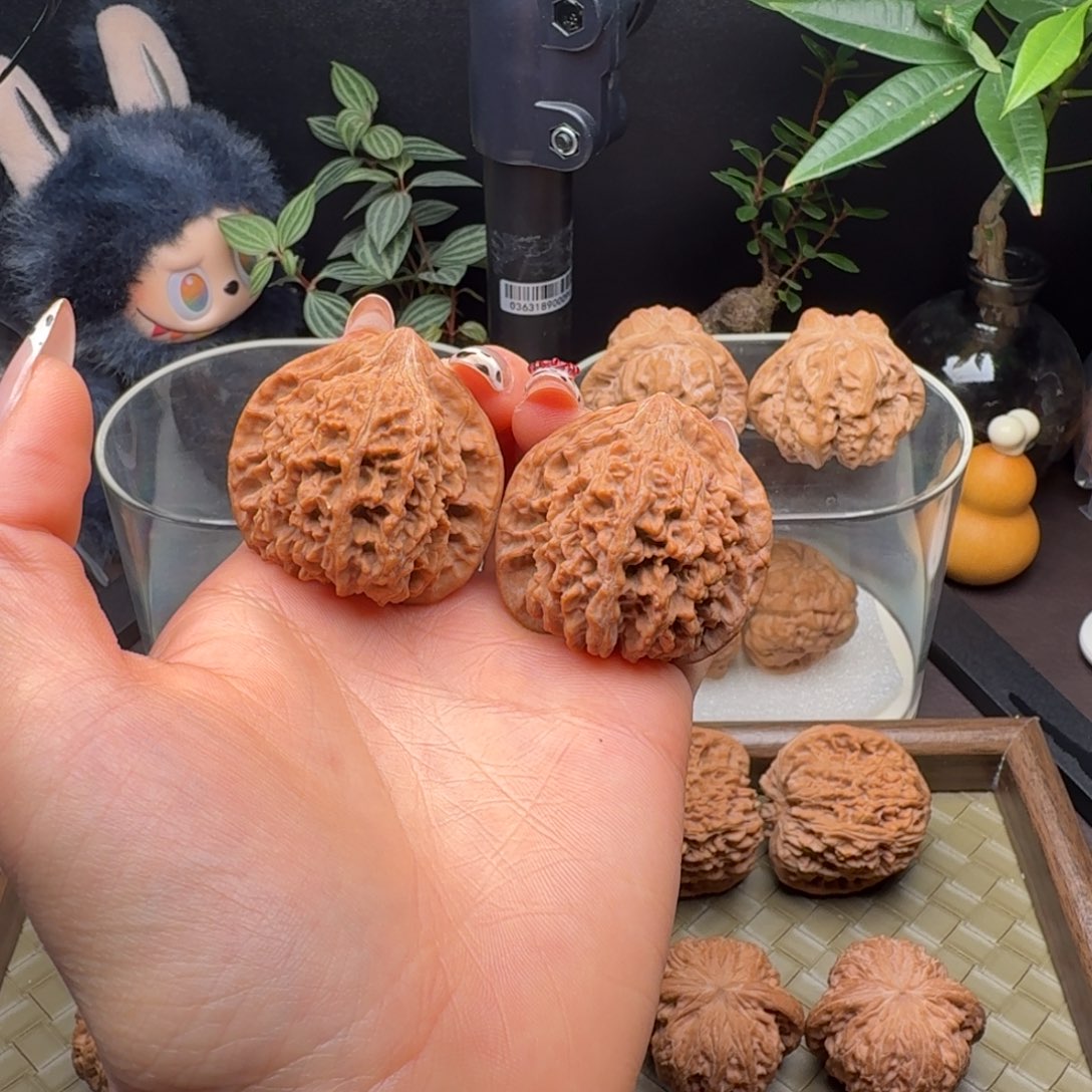 把件龙脊菩提全品满天星41