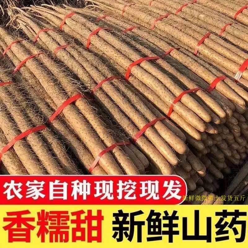 铁棍山药软糯香甜产地直发生鲜蔬菜宝宝辅食带土30-50