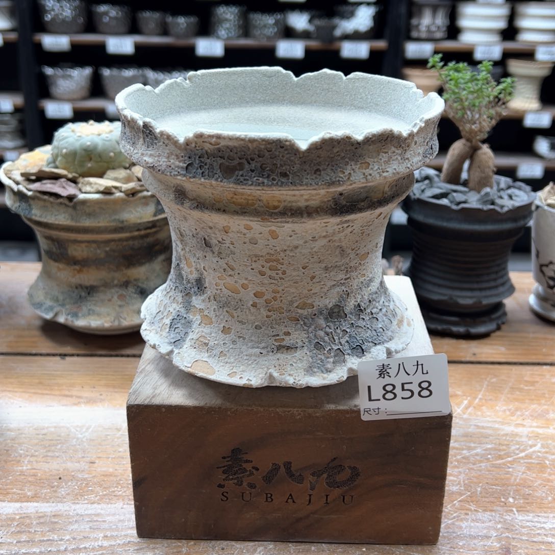 素八九陶瓷内口14高13
