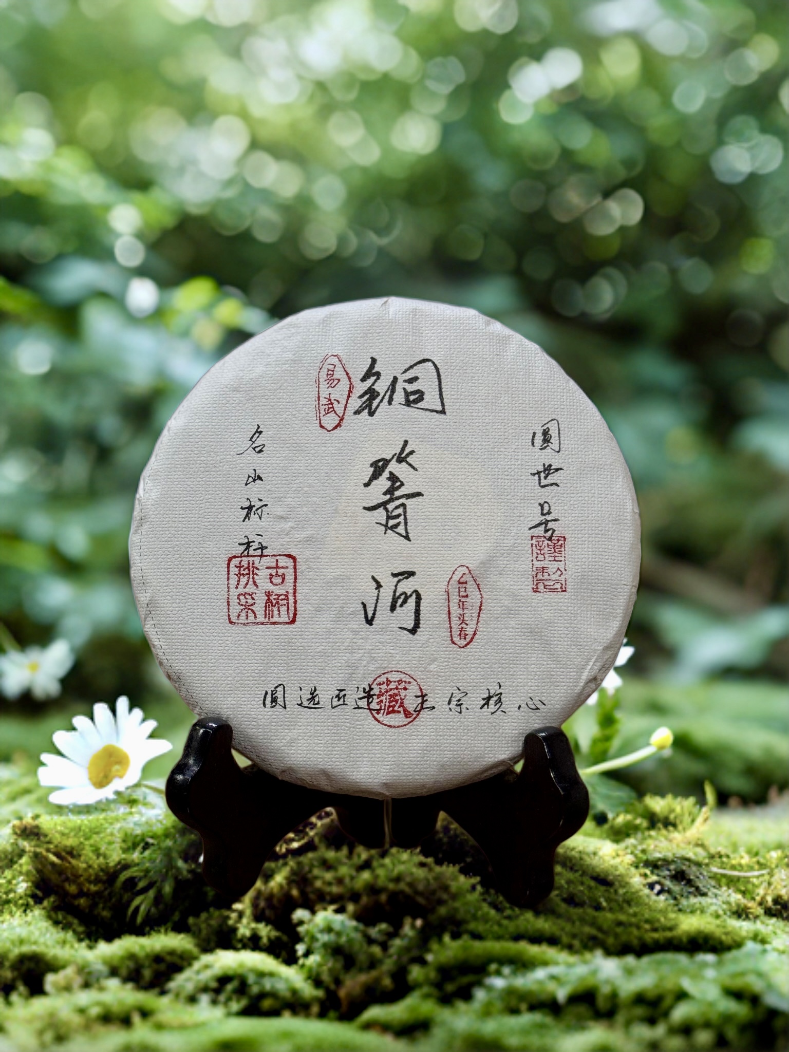 铜箐河之巅选株2025年头春生茶