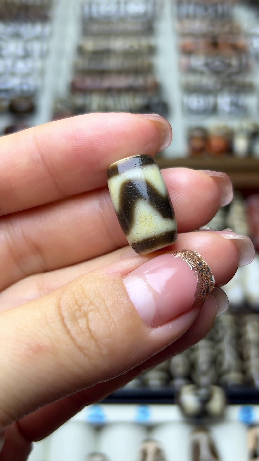 老料灰皮虎牙珠珠-