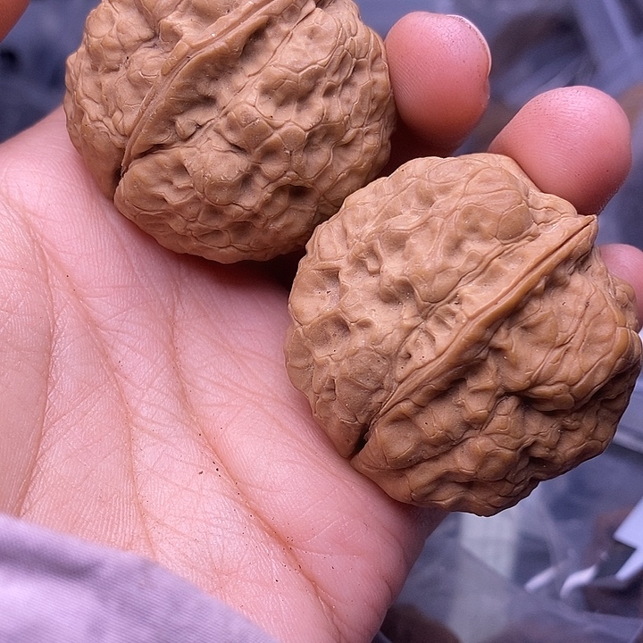 吊坠文玩核桃   207