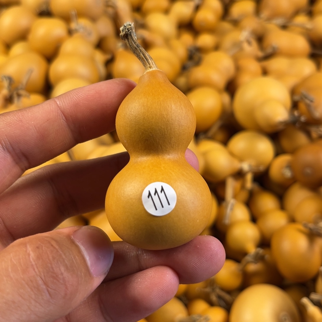 一个葫芦葫芦葫芦葫芦111