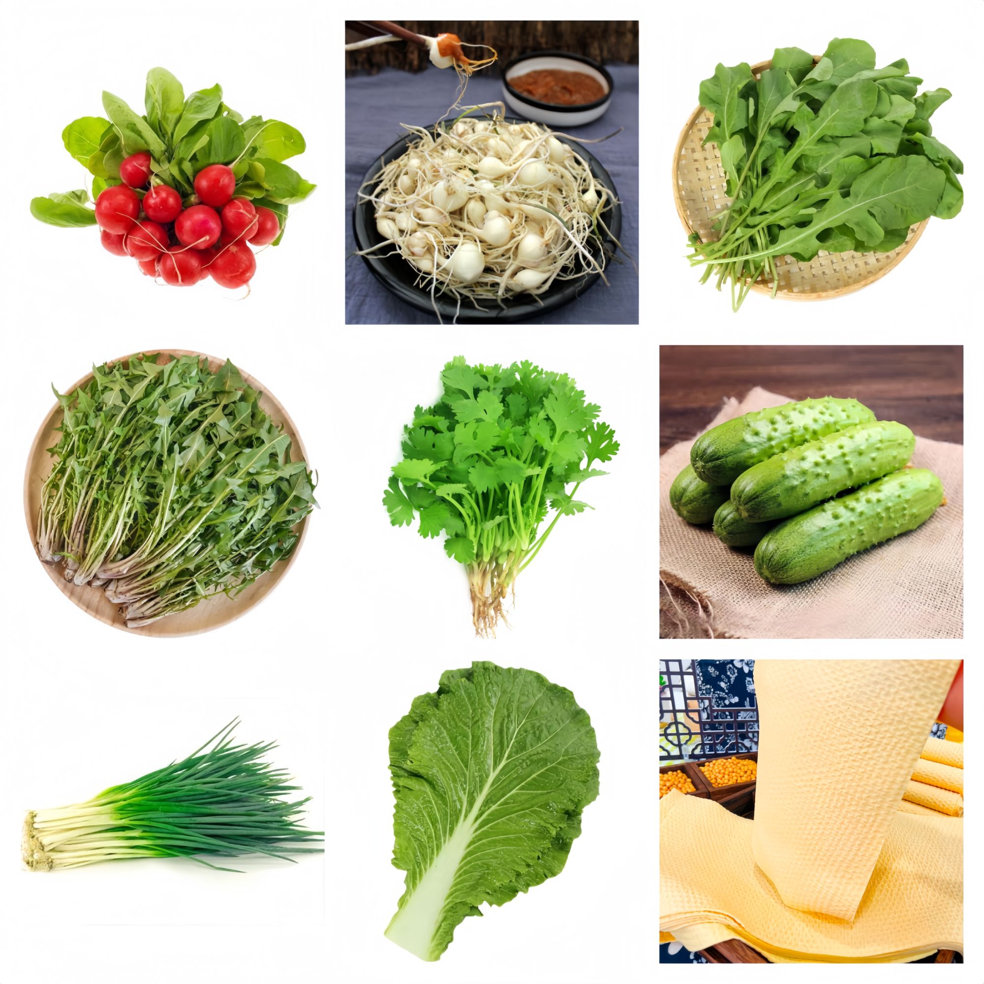 【套餐】精品蘸酱菜套餐B 共9种菜品