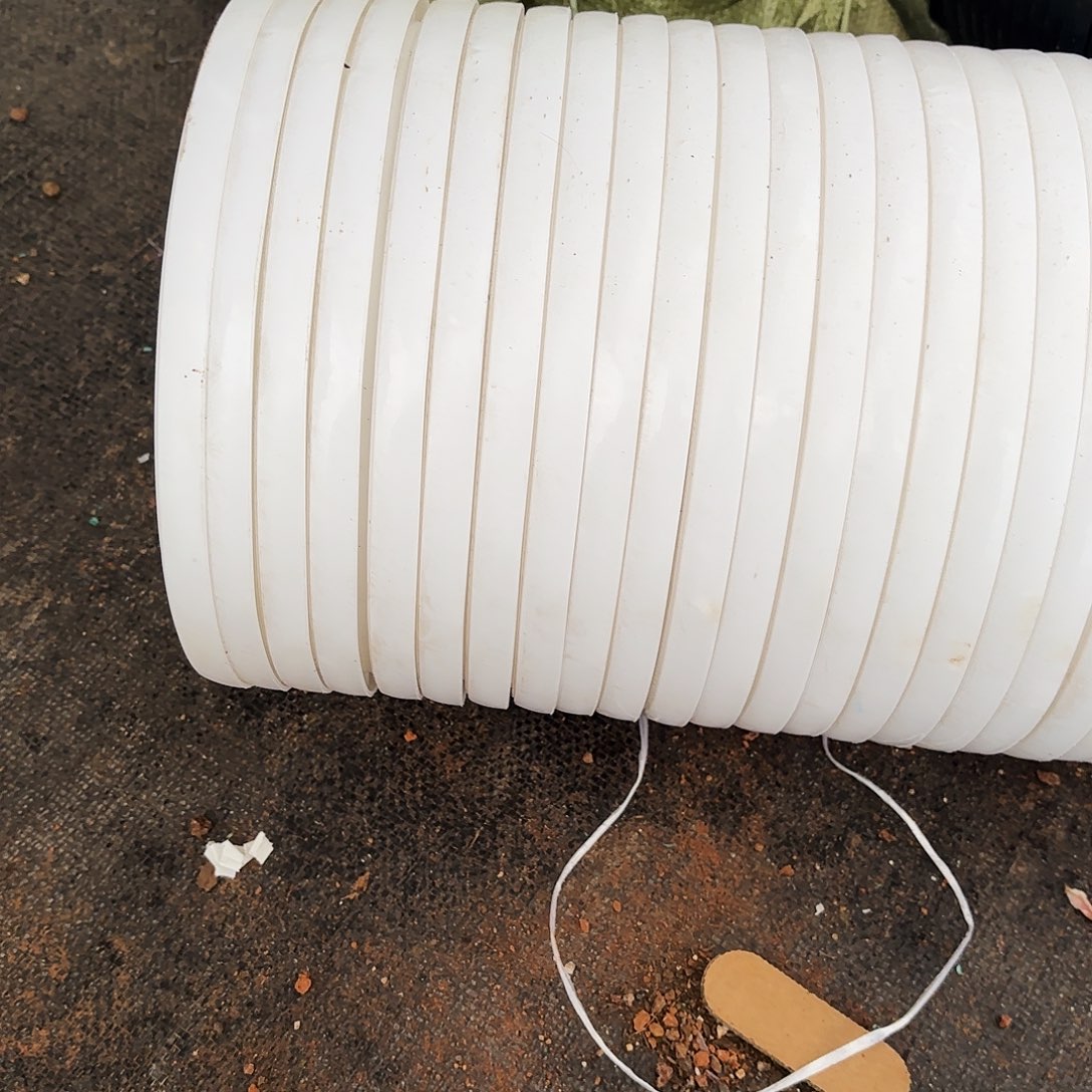 小***红无花朵白盆10个25哟