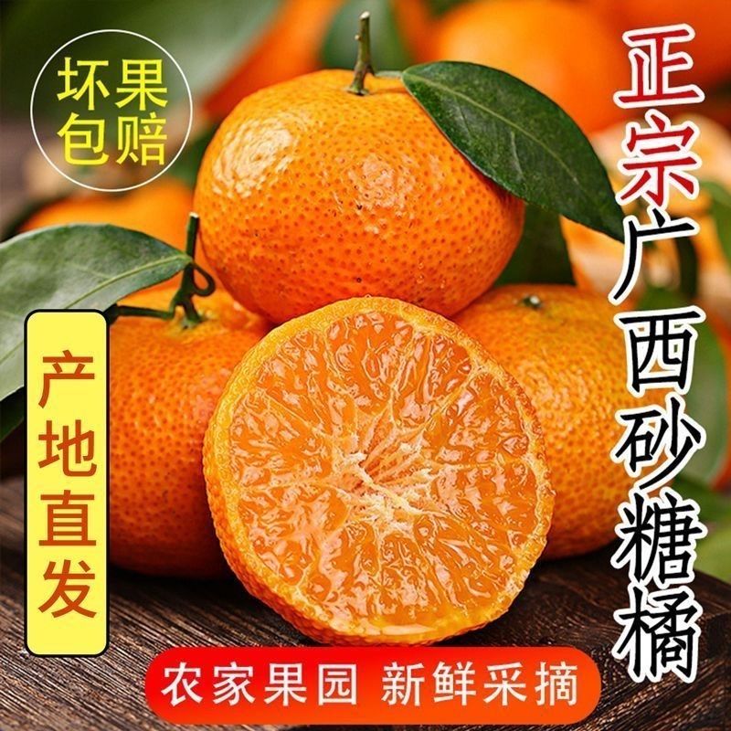 正宗广西砂糖橘水果皮薄桔子保鲜小橘子基地新鲜果园采摘甜柑橘