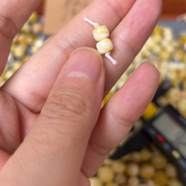 蜜蜡未镶嵌裸石5.9mm一对