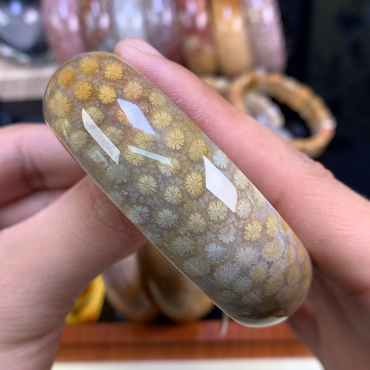 【闪购商品】颈饰未镶嵌硅化珊瑚（珊瑚玉）114号57.6圈金雏菊