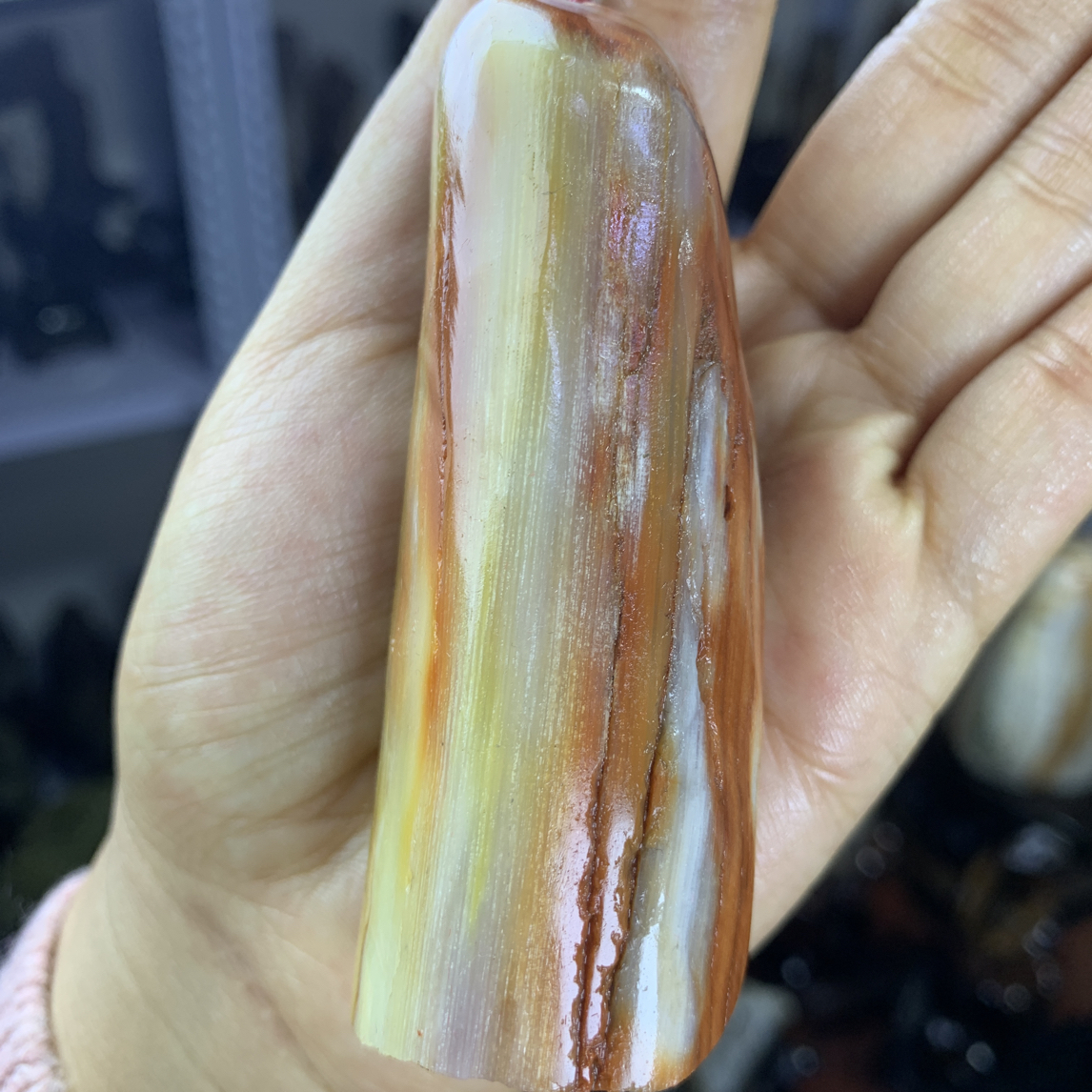 缅甸天然树化玉手把件