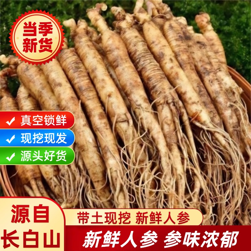 长白山新鲜现挖带土产地直发泡酒煲汤