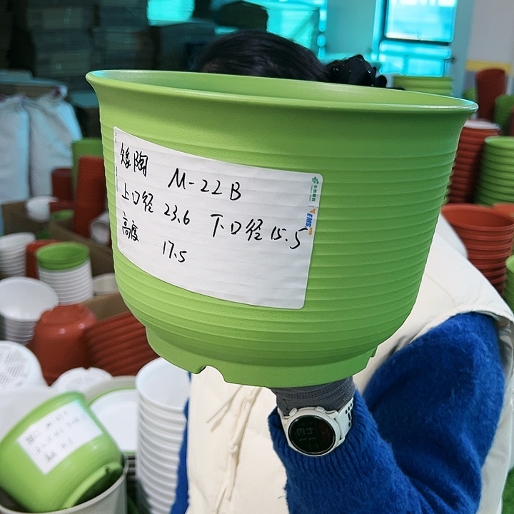 正品矮陶口23.6高17.5果绿无托6只