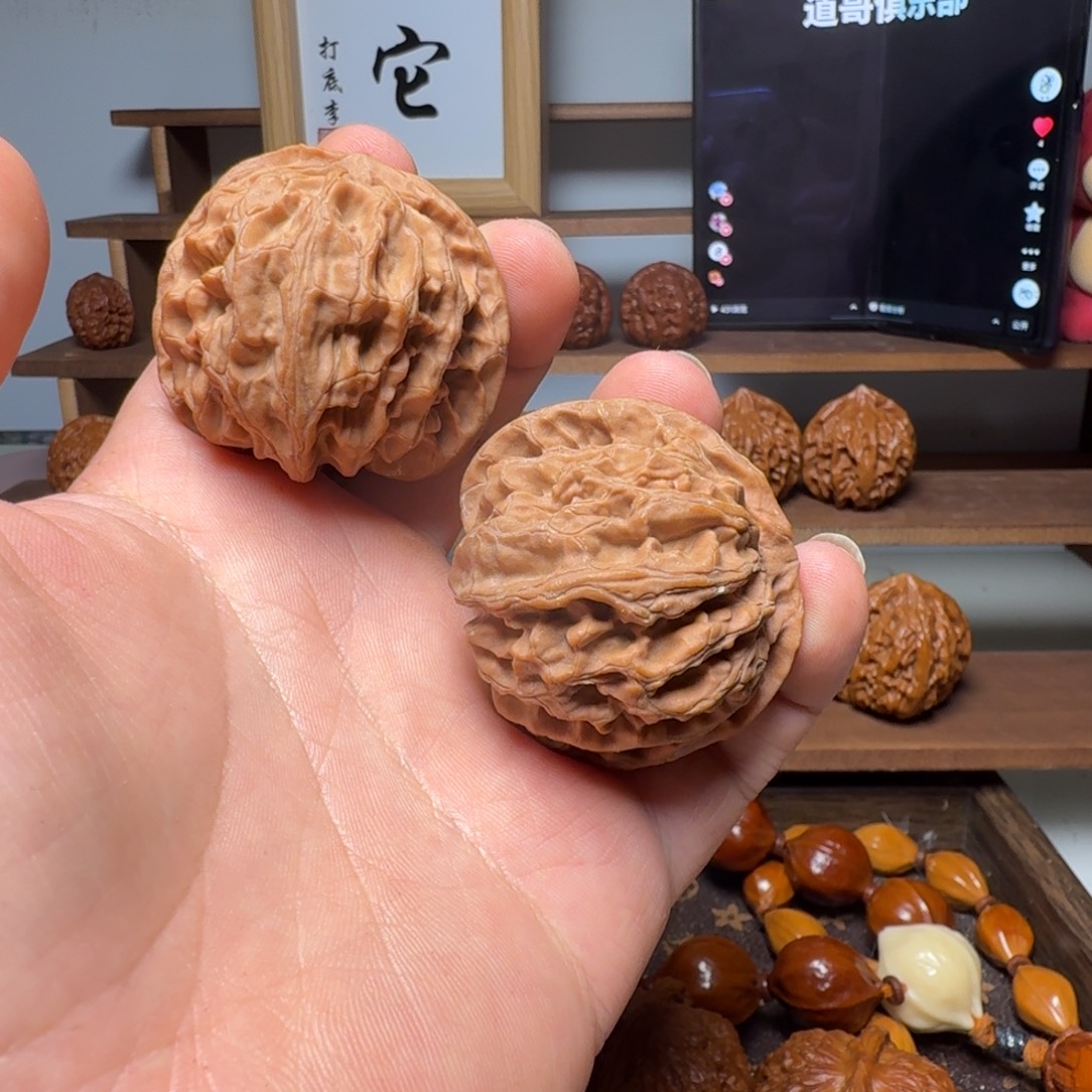 道哥俱乐部t苹果园46