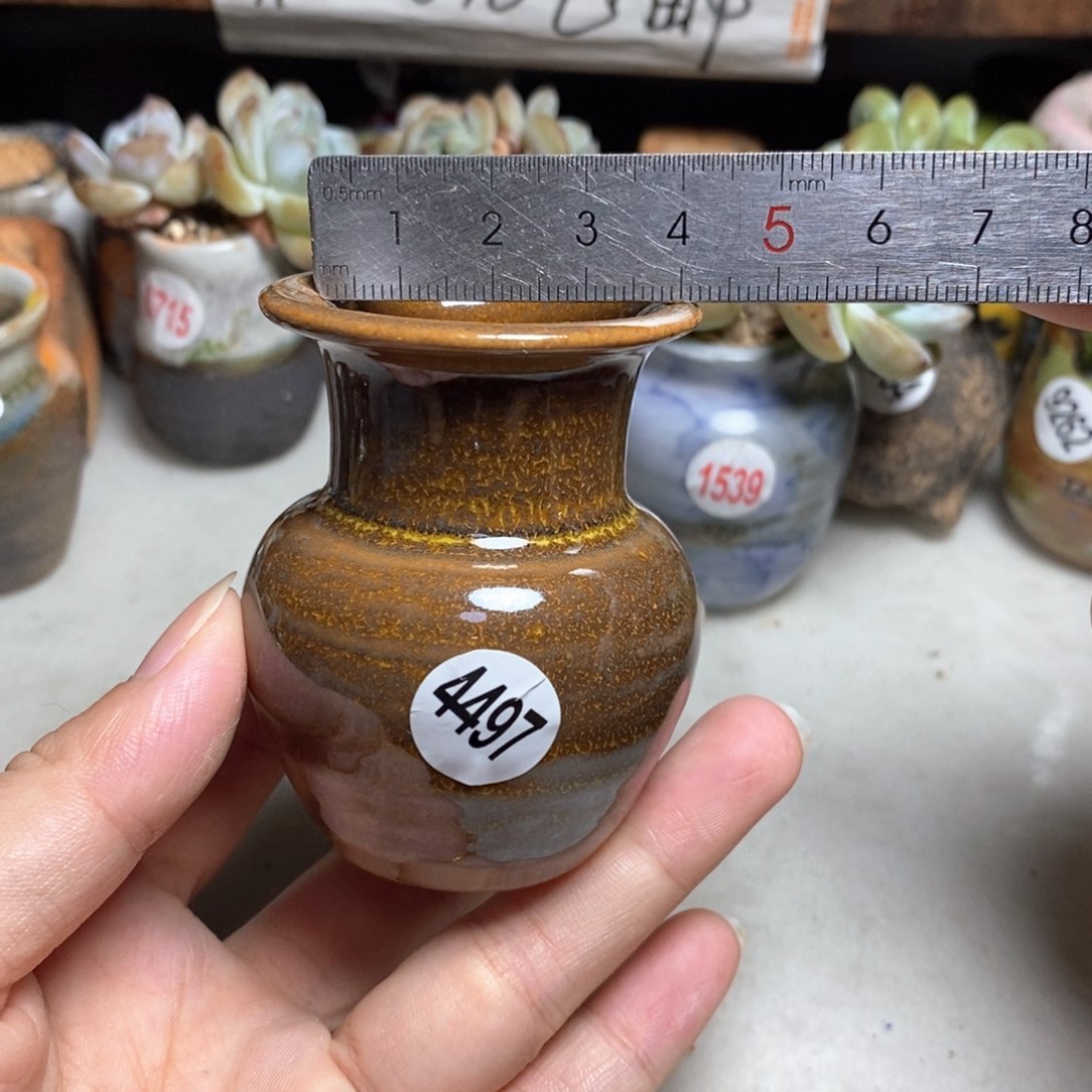 拍5送一个小礼物