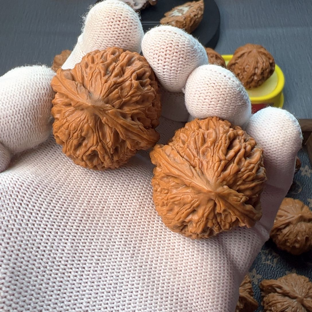 核桃摆件38水龙纹全品