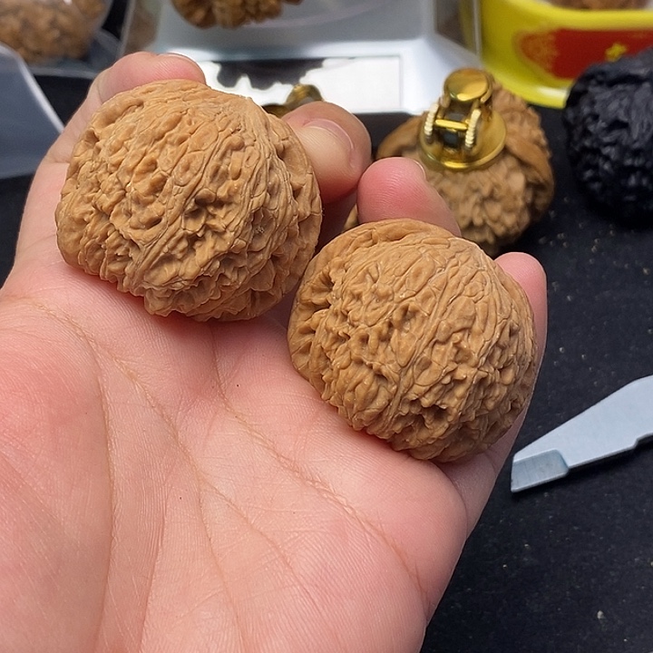 吊坠龙脊菩提泥鳅背