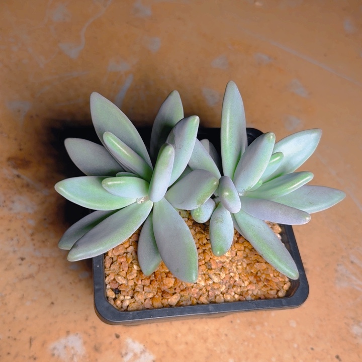 @****不服发货11111111111